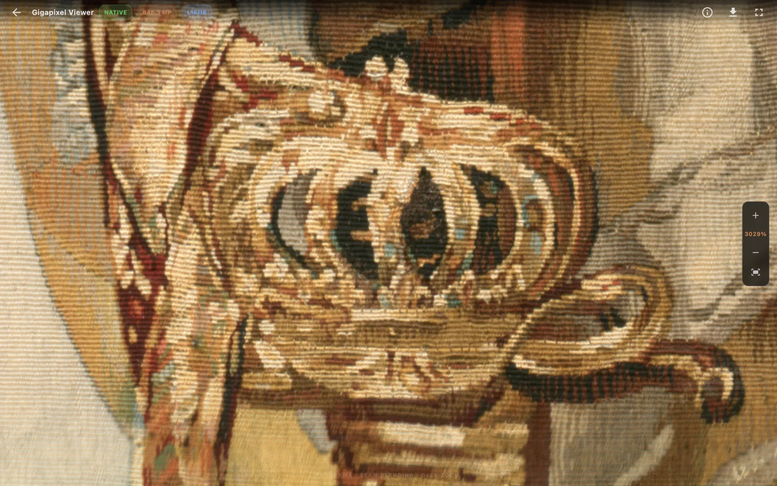 Gigapixel viewer at 3029 percent: thread-level detail of a tapestry, 845 megapixels